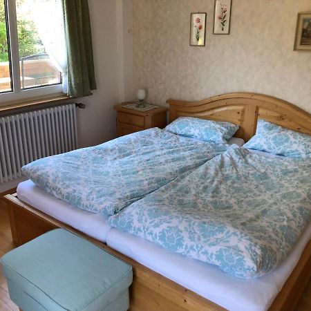 Ferienhaus Lickert Ferienwohnung Süd Feldberg Hinterzarten Exterior foto