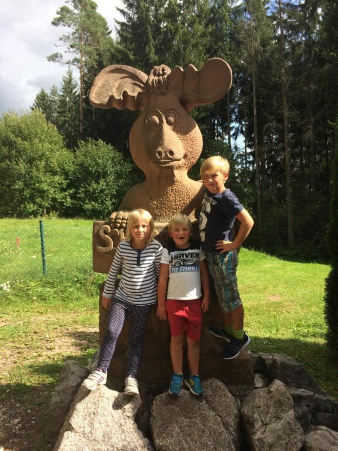 Ferienhaus Lickert Ferienwohnung Süd Feldberg Hinterzarten Exterior foto