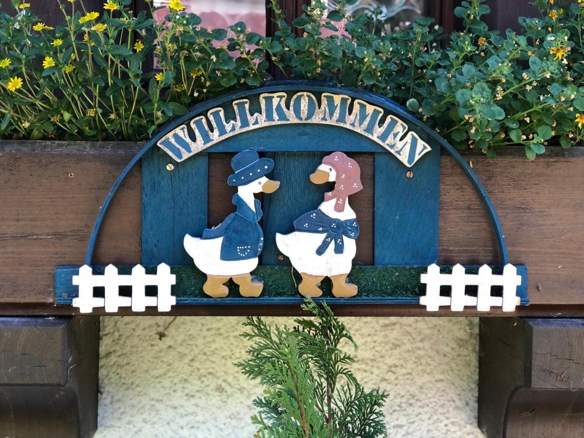 Ferienhaus Lickert Ferienwohnung Süd Feldberg Hinterzarten Exterior foto